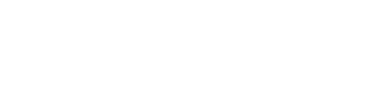 Alpha Vision -Logo